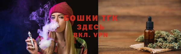 крисы Медногорск