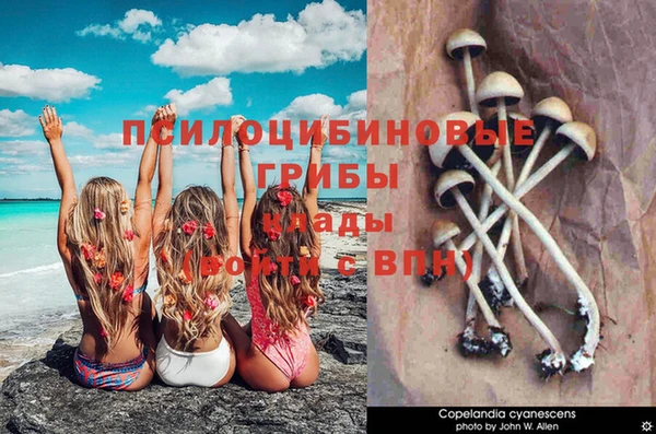 Альфа ПВП Медвежьегорск