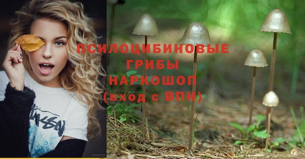 крисы Медногорск