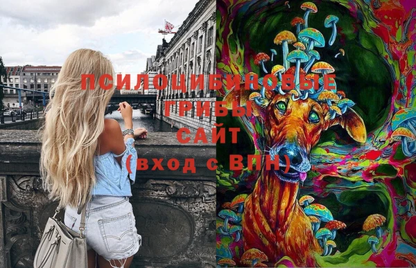 крисы Медногорск