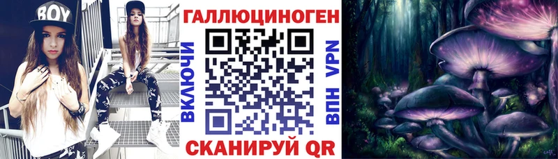 Купить где  Азов  Псилоцибиновые грибы прущие грибы 